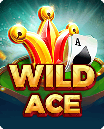 Wild Ace — play on the V3 Game app